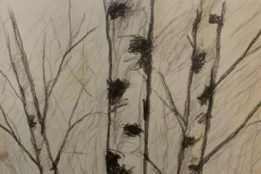 WhatsApp-Image-2025-11-23-at-17.16.31-2