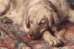 photo_2026-02-17_14-10-09